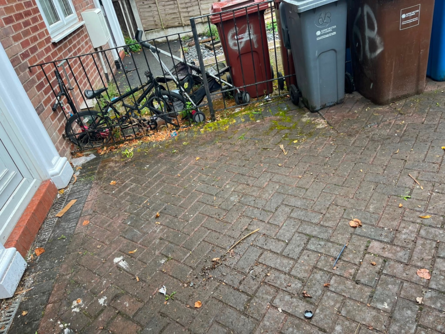 The same yard cleared and swept